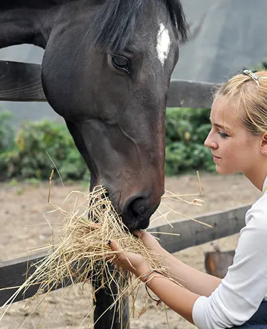 Soins et alimentation